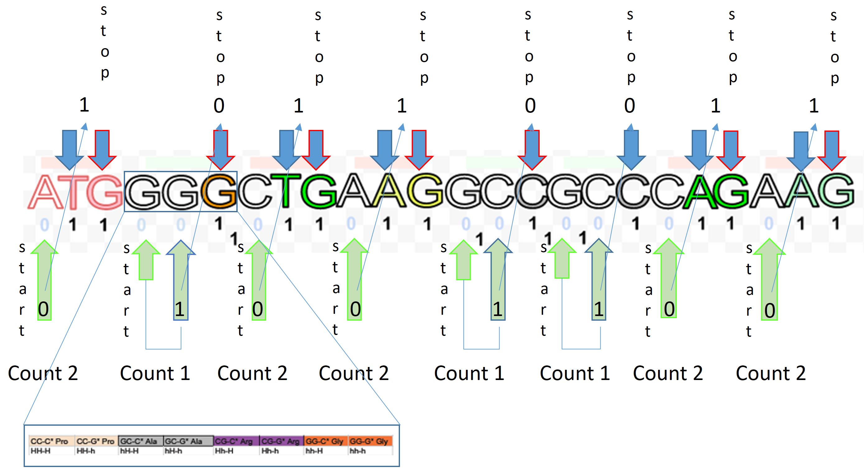 Ternary or binary